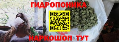 стаф Пыть-Ях