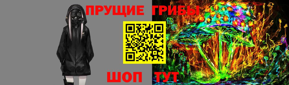 Псилоцибиновые грибы мухоморы  Вход с VPN  купить наркотик  Сланцы 