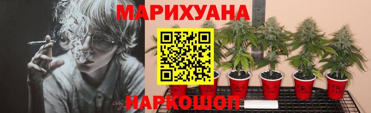 Конопля сатива  Шишки марихуана VHQ  Бошки марихуана сатива  Вход с VPN  Сланцы 